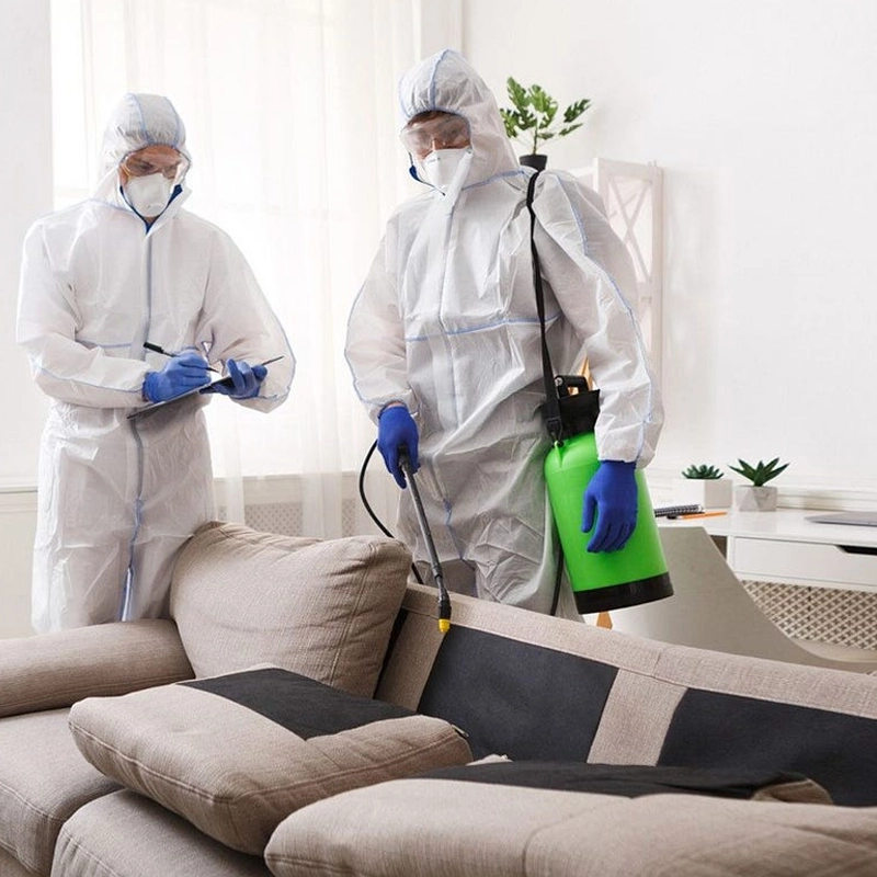 Como manter sua casa livre de pragas urbanas o ano todo